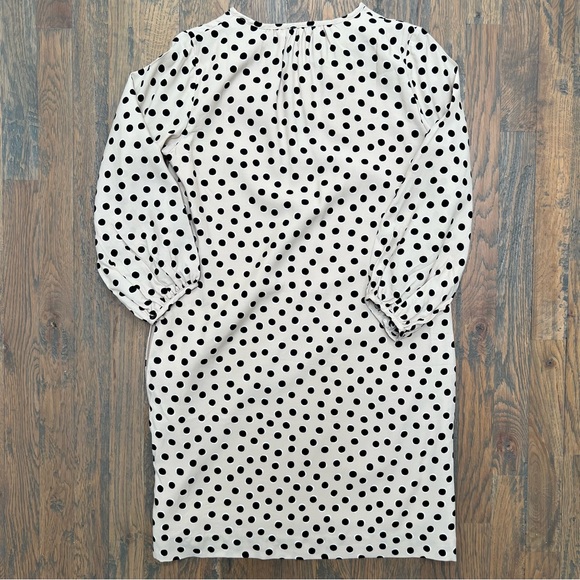 Ann Taylor Polka Dot Shift Dress - Picture 5 of 7